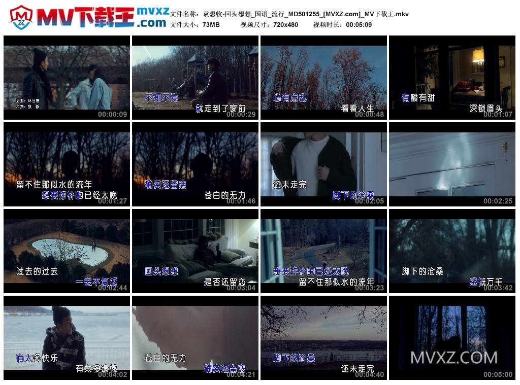 袁想收-回头想想_国语_流行_MD501255